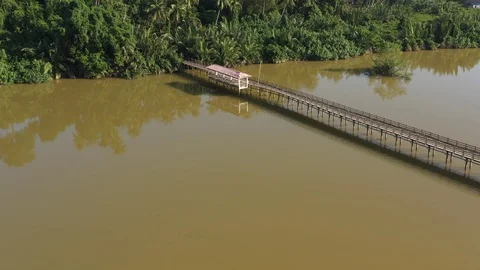 Swamp area Stock Footage 102609414