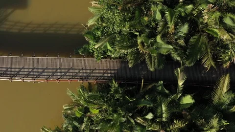 Swamp area Stock Footage 102609540