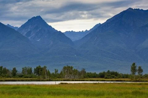 Swamp on the background of high mountain Foto stock