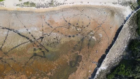 Swamp into beach aereal Video stock 256586180