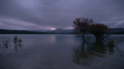 Swamp Bermejales Stock Footage 35552917