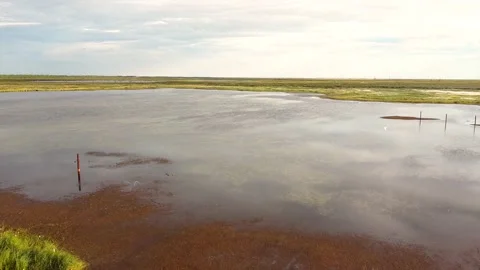 Swamp beyond the Arctic Circle from a drone -quadcopter Stock Footage 225861781
