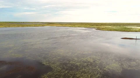 Swamp beyond the Arctic Circle from a drone -quadcopter Stock Footage 225861808