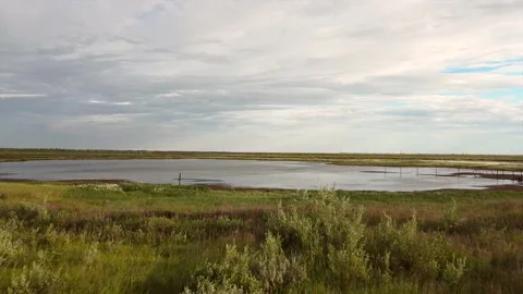 Swamp beyond the Arctic Circle from a drone -quadcopter Stock Footage 225861847