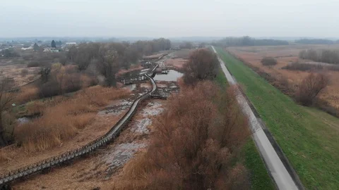 Swamp bridge Stock Footage 129598932