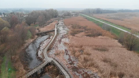 Swamp bridge Stock Footage 129599070