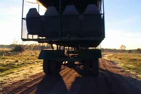 Swamp Buggy Drives into the Sunset Stock Footage 142505