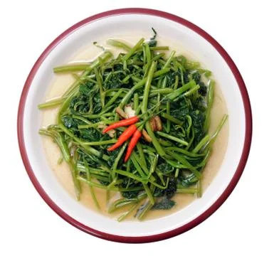 Swamp cabbage Stock Photos