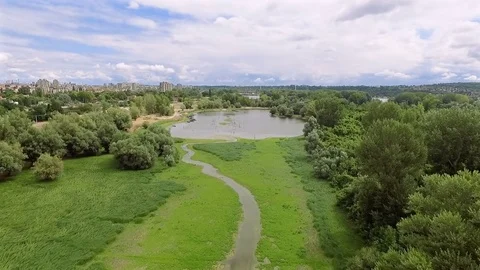 Swamp in the city Stock Footage 79042938