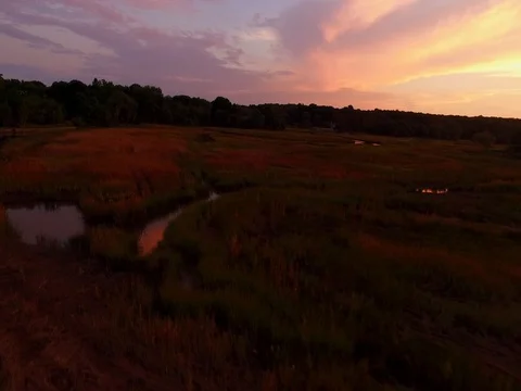 Swamp Clip 3 Stock Footage 73546580