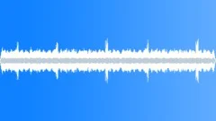 SWAMP, DAY Sound Effect