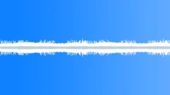 SWAMP, DAY Sound Effect