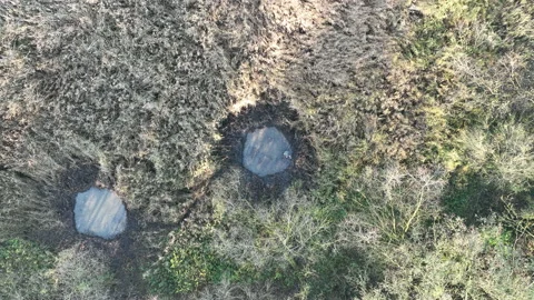 Swamp dig spade worker man drone aerial puddle protection conservation nature Stock Footage 223023967