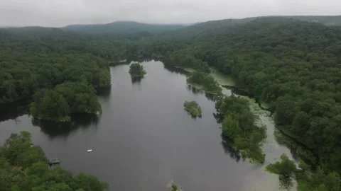 Swamp Drone Video stock 251588643