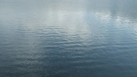 Swamp drone plan, Spain Stock Footage 233584408