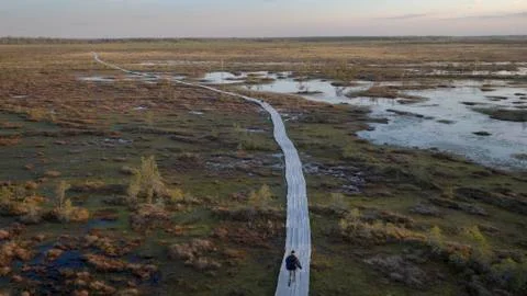Swamp Escape Stock Photos