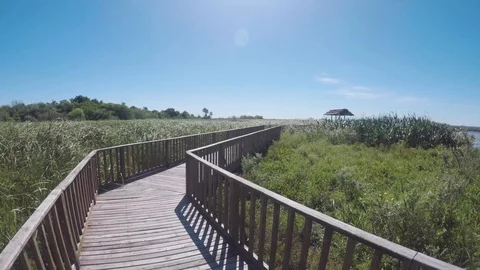 Swamp of Esteros de Ibera Video stock 98949717