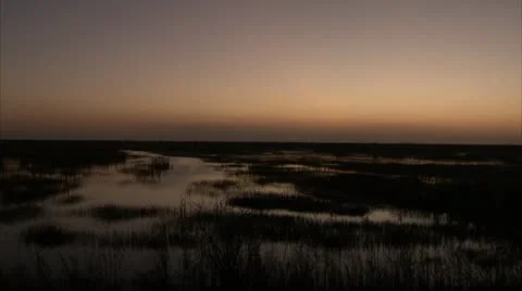 A swamp evening Stock Footage 12761465