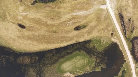 Swamp Video stock 122334629