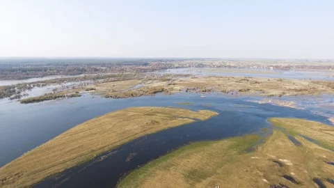 Swamp Stock Footage 122334933