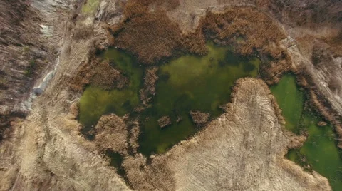Swamp In Forest Stock Footage 64066815