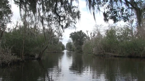 Swamp good intersection Stock Footage 88292222
