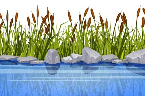 Swamp grass illustration, vector reed plant, river bank, gray stone Stock Illustration