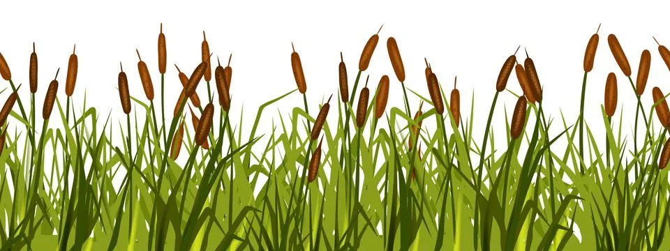 Swamp grass seamless border, vector reed plant, marsh bush pond cattail shrub Ilustração Stock
