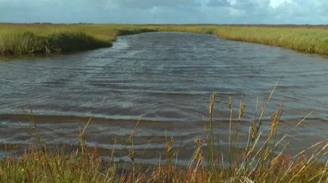 Swamp, intertidal mudflats, Borkum, North Sea, Germany 스톡 동영상 8832013