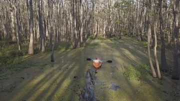 Swamp Kayaking Stockbeeldmateriaal 85617313