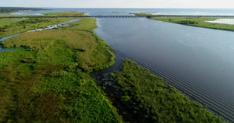 Swamp land in Mobile Bay Stock Footage
