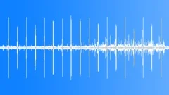 Swamp late afternoon swarming crescendo of buzzing fauna HD 24Bits/96KHzSound Effect