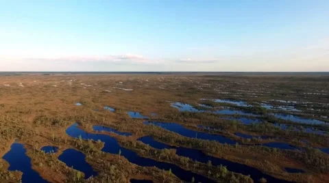 Swamp in Latvia 動画素材 64037157
