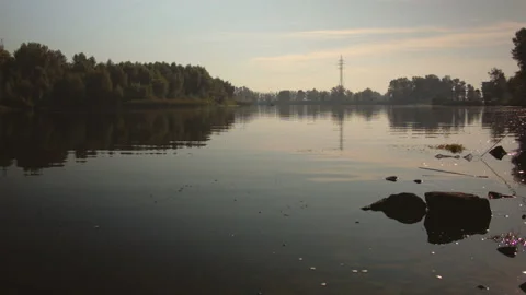 Swamp with lilies at sunset in the summer. Stock-Footage 115630342