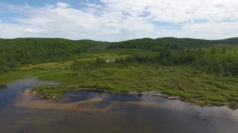 Swamp marsh bog 動画素材 68002337