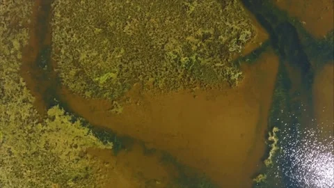Swamp of Martinhal beach 스톡 동영상 132523796
