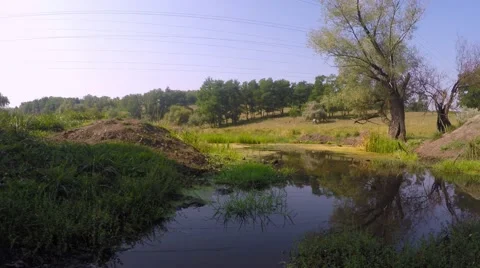 Swamp Meadow. Far down the road a man rolls a bike with hay. Video stock 54251731