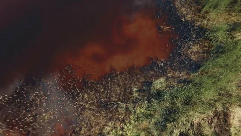 Swamp in the middle of the field Stock Footage 112307705