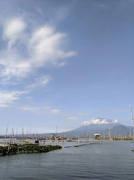 Swamp with mountains in the background Foto stock