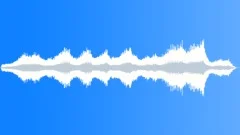SwampStock Music