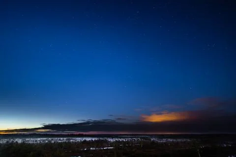 Swamp in the night Stock Photos