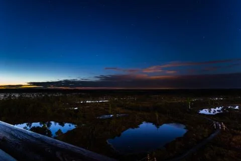 Swamp in the night Stock Photos