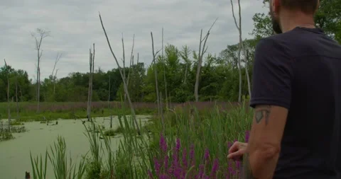 Swamp with a person Stock Footage 202290925