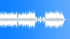 Swamp Rats (WP) 05 Alt4(Banjo,blues,fiddle,mandolin,acoustic,southern,country)Stock Music