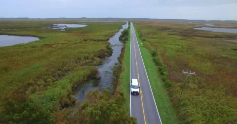 Swamp road Stock Footage 56833545