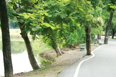 Swamp road Stock Photos