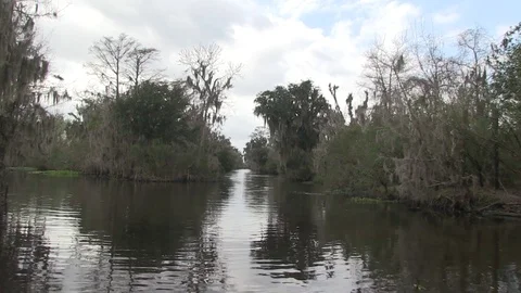 Swamp round bend Stock Footage 88292216