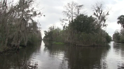 Swamp round bend2 Stock Footage 88293124