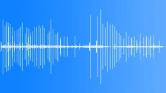 Swamp Sparrow CU CallsSound Effect