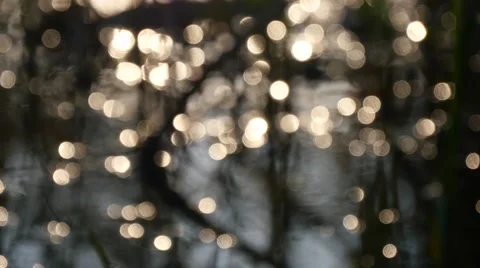 Swamp in springtime 스톡 동영상 68073961